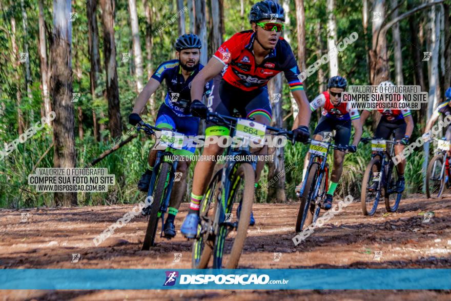 II GP Jandaia do Sul de Mountain Bike