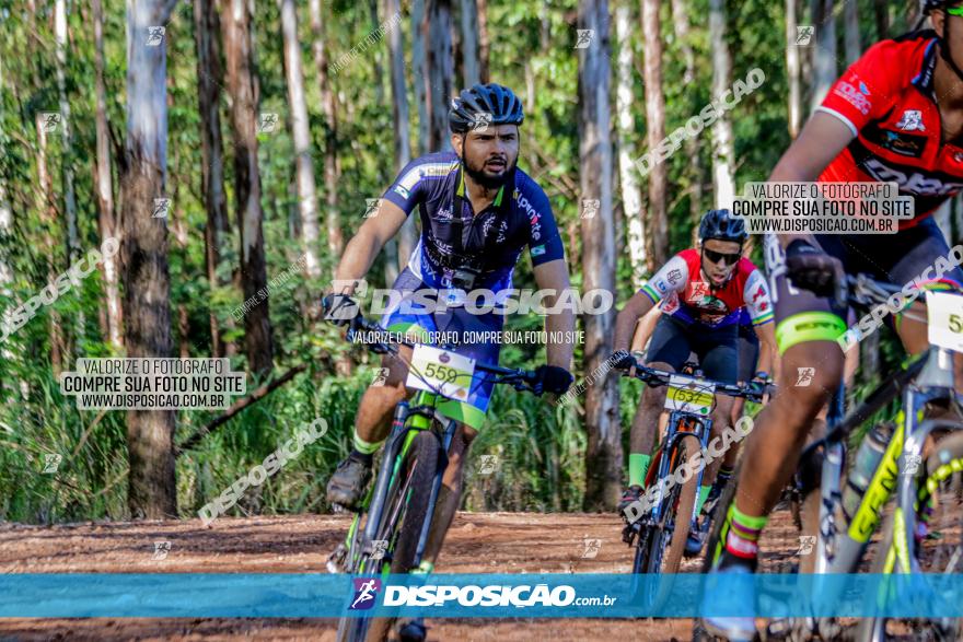 II GP Jandaia do Sul de Mountain Bike