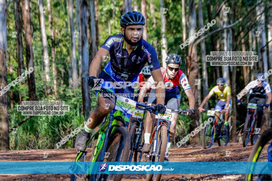 II GP Jandaia do Sul de Mountain Bike