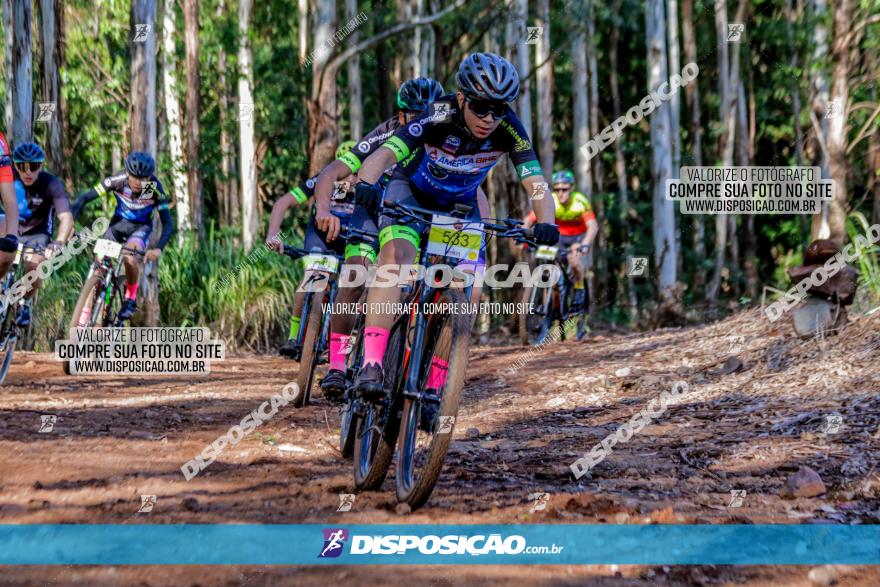 II GP Jandaia do Sul de Mountain Bike