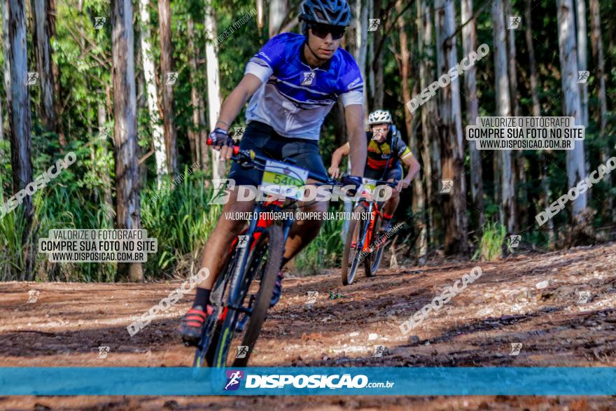 II GP Jandaia do Sul de Mountain Bike