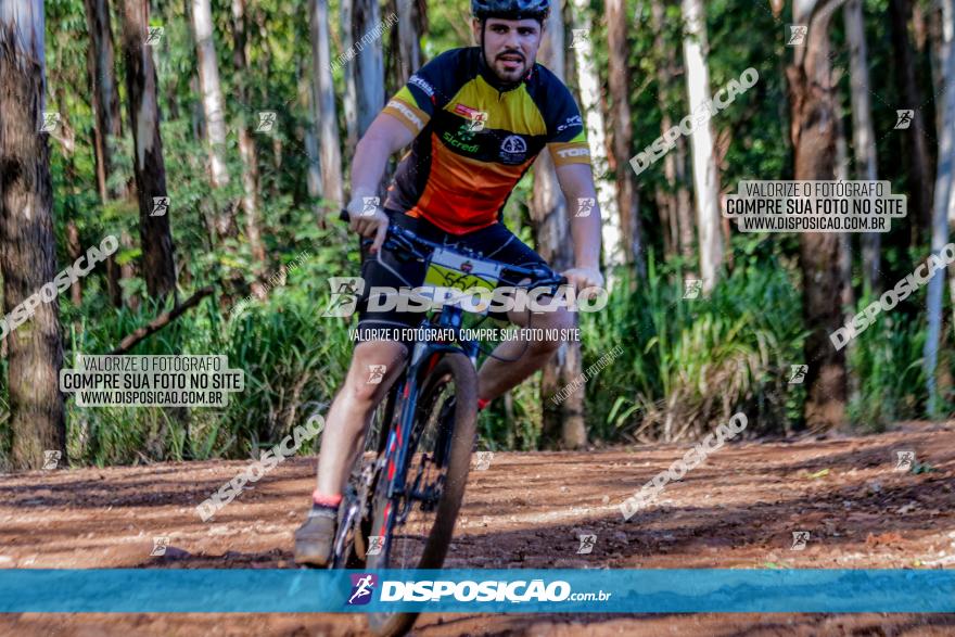 II GP Jandaia do Sul de Mountain Bike