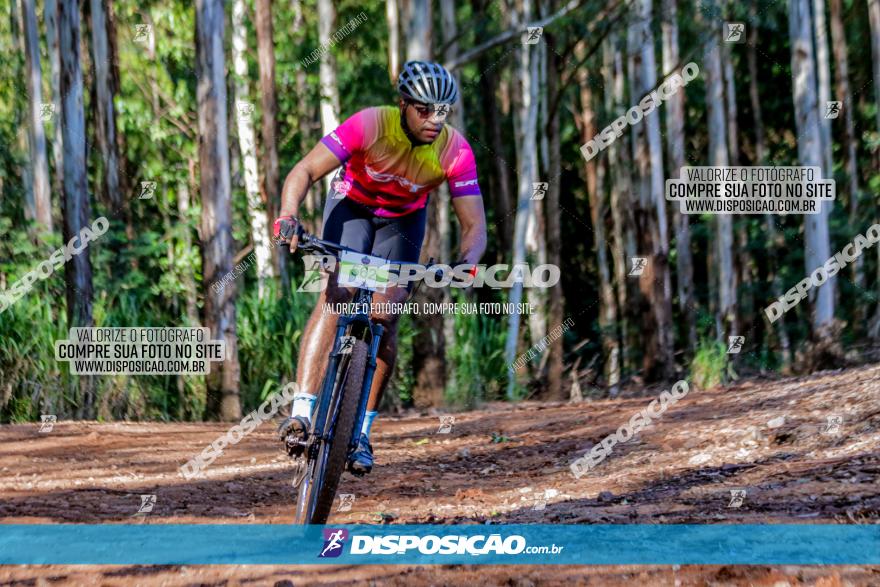 II GP Jandaia do Sul de Mountain Bike