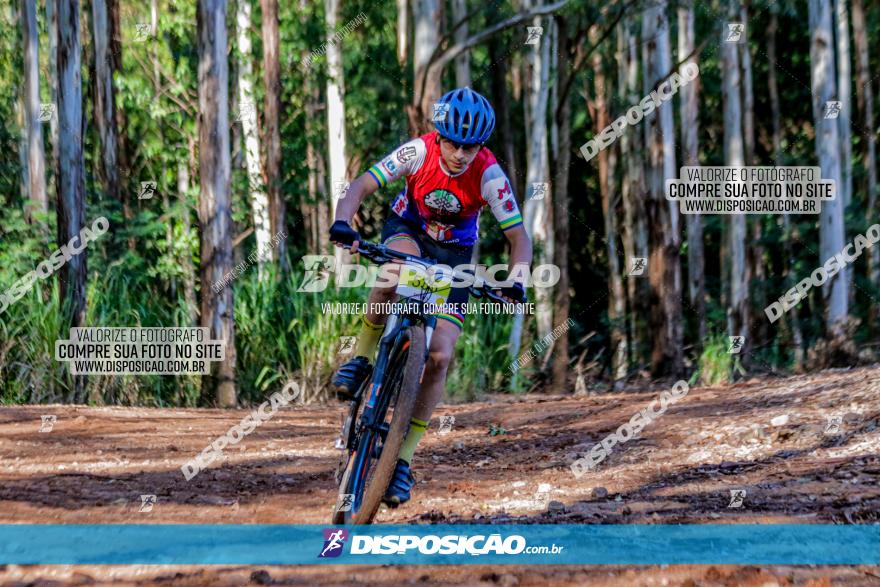 II GP Jandaia do Sul de Mountain Bike