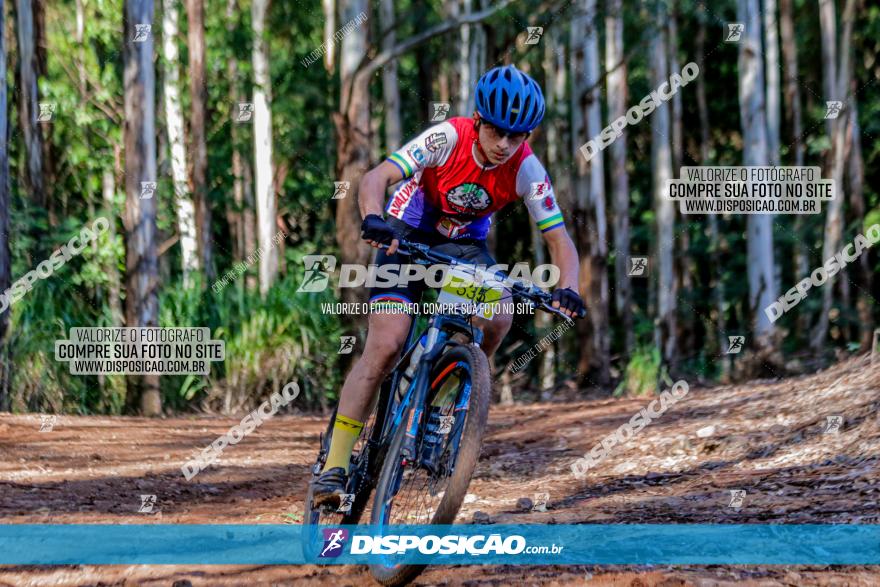 II GP Jandaia do Sul de Mountain Bike