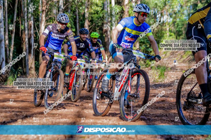 II GP Jandaia do Sul de Mountain Bike