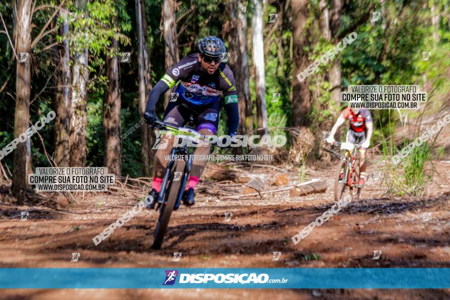 II GP Jandaia do Sul de Mountain Bike