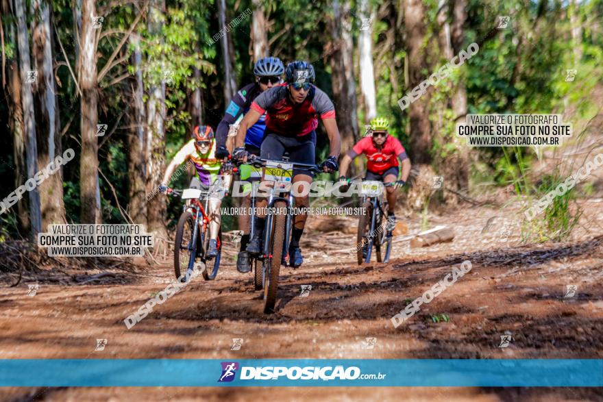 II GP Jandaia do Sul de Mountain Bike