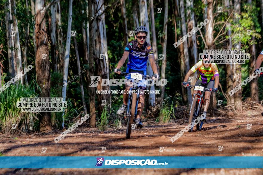 II GP Jandaia do Sul de Mountain Bike