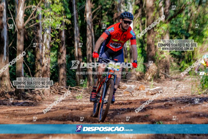 II GP Jandaia do Sul de Mountain Bike