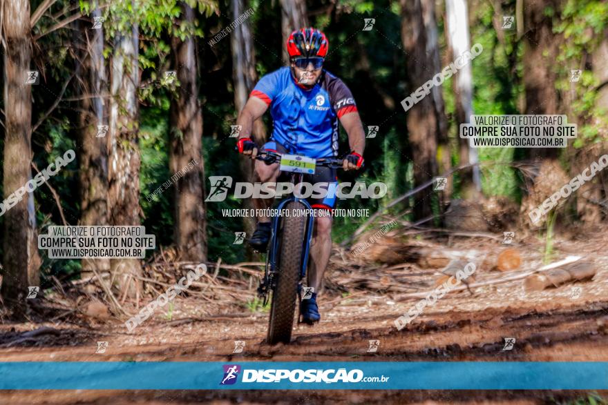 II GP Jandaia do Sul de Mountain Bike