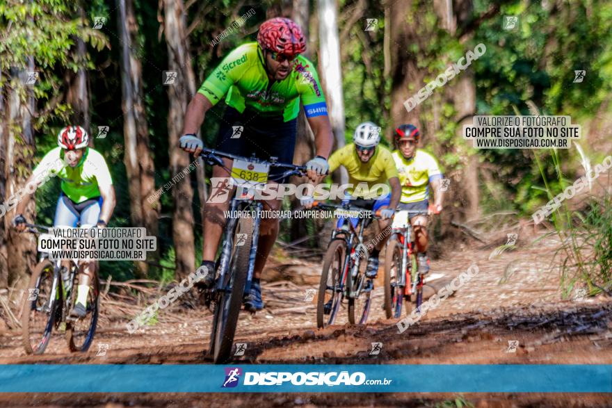 II GP Jandaia do Sul de Mountain Bike