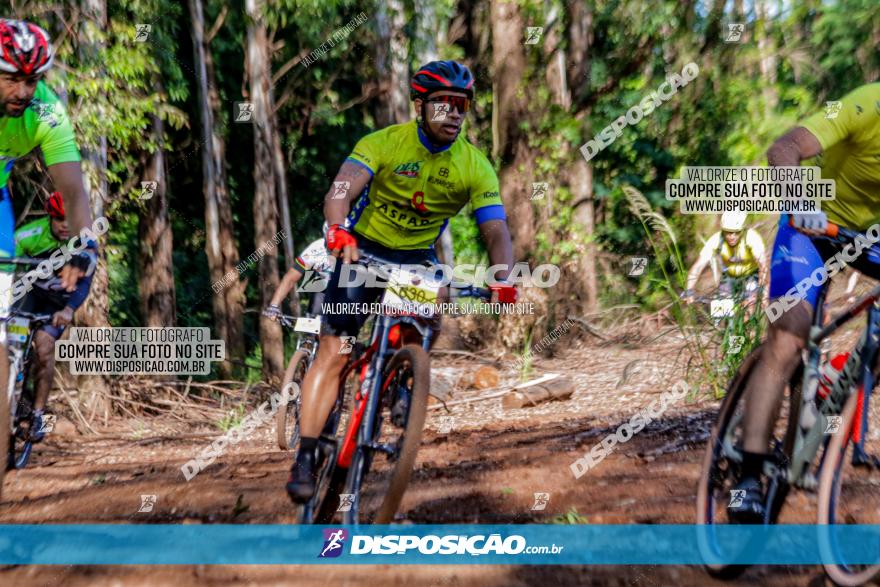 II GP Jandaia do Sul de Mountain Bike