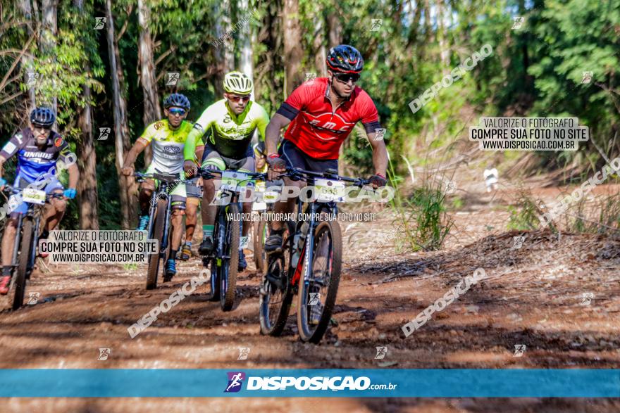 II GP Jandaia do Sul de Mountain Bike