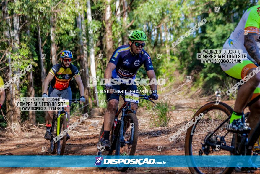 II GP Jandaia do Sul de Mountain Bike