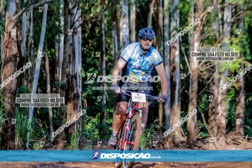 II GP Jandaia do Sul de Mountain Bike