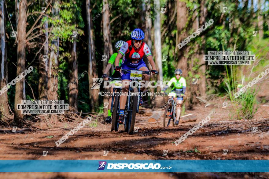 II GP Jandaia do Sul de Mountain Bike