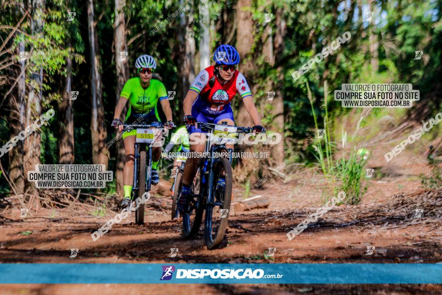 II GP Jandaia do Sul de Mountain Bike