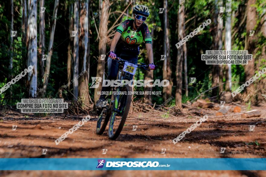 II GP Jandaia do Sul de Mountain Bike