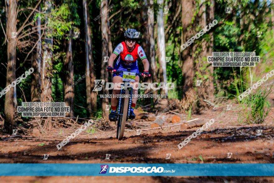 II GP Jandaia do Sul de Mountain Bike