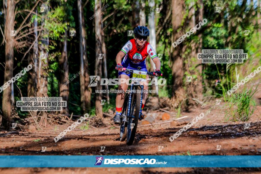 II GP Jandaia do Sul de Mountain Bike