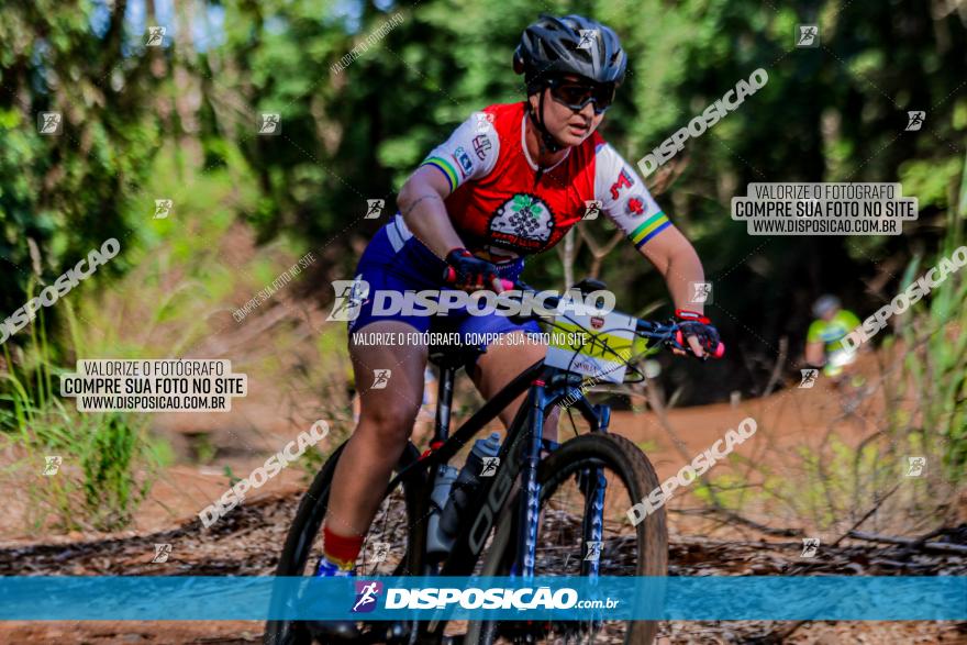 II GP Jandaia do Sul de Mountain Bike