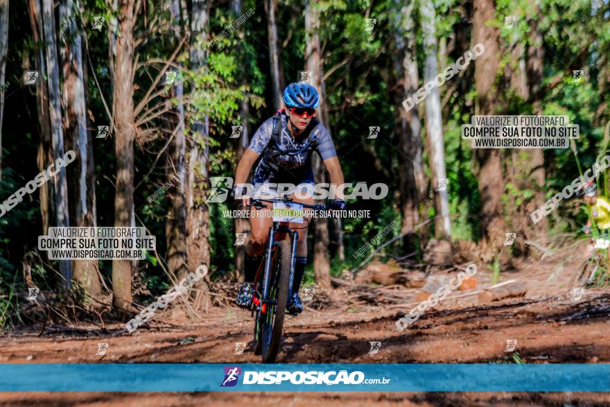 II GP Jandaia do Sul de Mountain Bike