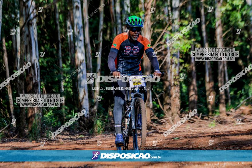 II GP Jandaia do Sul de Mountain Bike