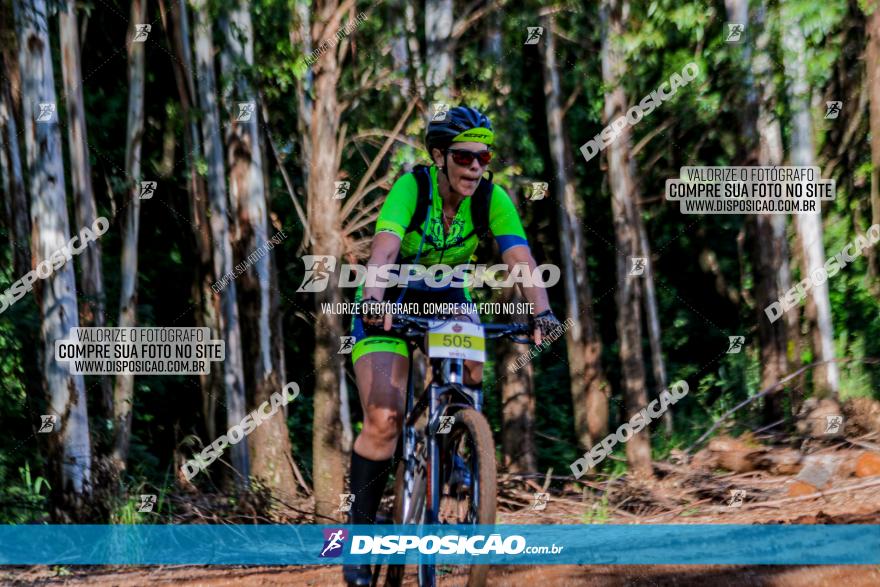 II GP Jandaia do Sul de Mountain Bike