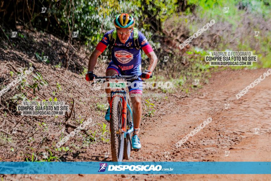 II GP Jandaia do Sul de Mountain Bike