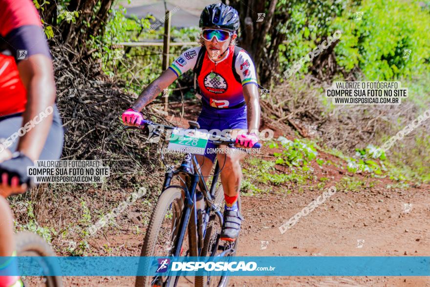 II GP Jandaia do Sul de Mountain Bike