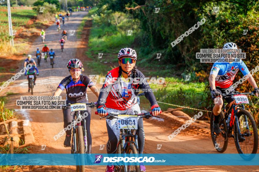 Circuito AEJ de Mountain Bike 2022