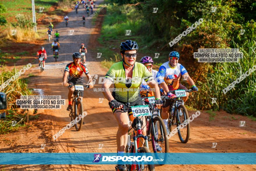 Circuito AEJ de Mountain Bike 2022