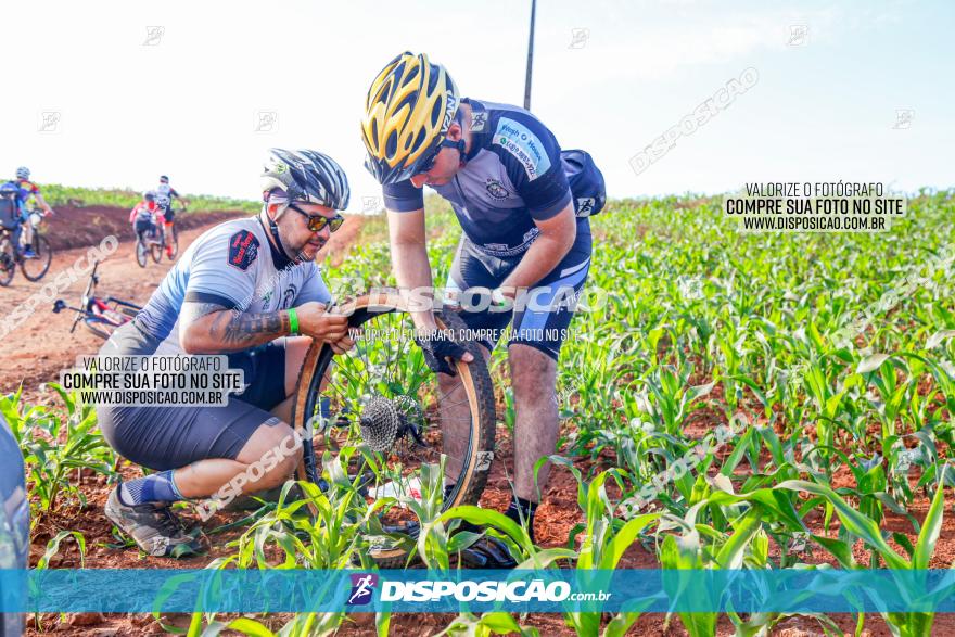 Circuito AEJ de Mountain Bike 2022