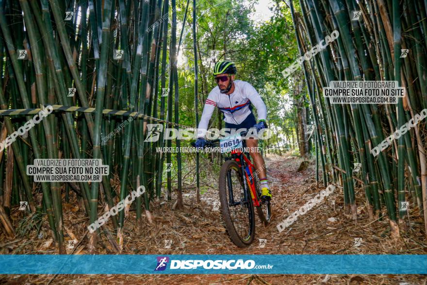 Circuito AEJ de Mountain Bike 2022