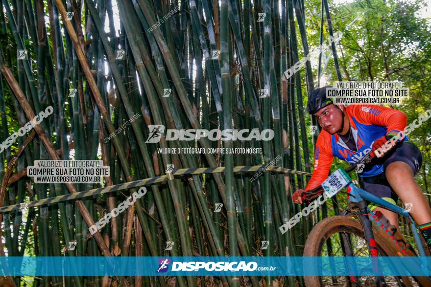 Circuito AEJ de Mountain Bike 2022