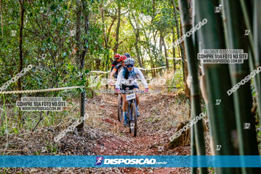 Circuito AEJ de Mountain Bike 2022