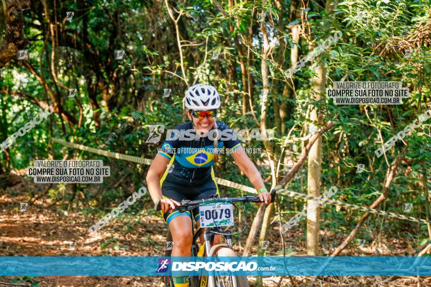 Circuito AEJ de Mountain Bike 2022