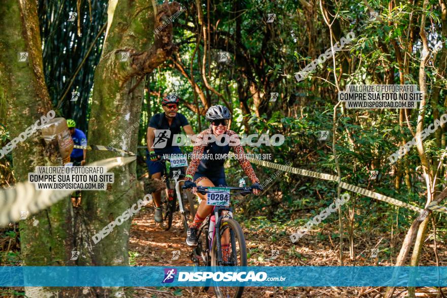 Circuito AEJ de Mountain Bike 2022