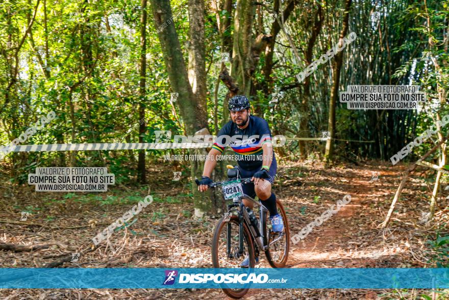 Circuito AEJ de Mountain Bike 2022