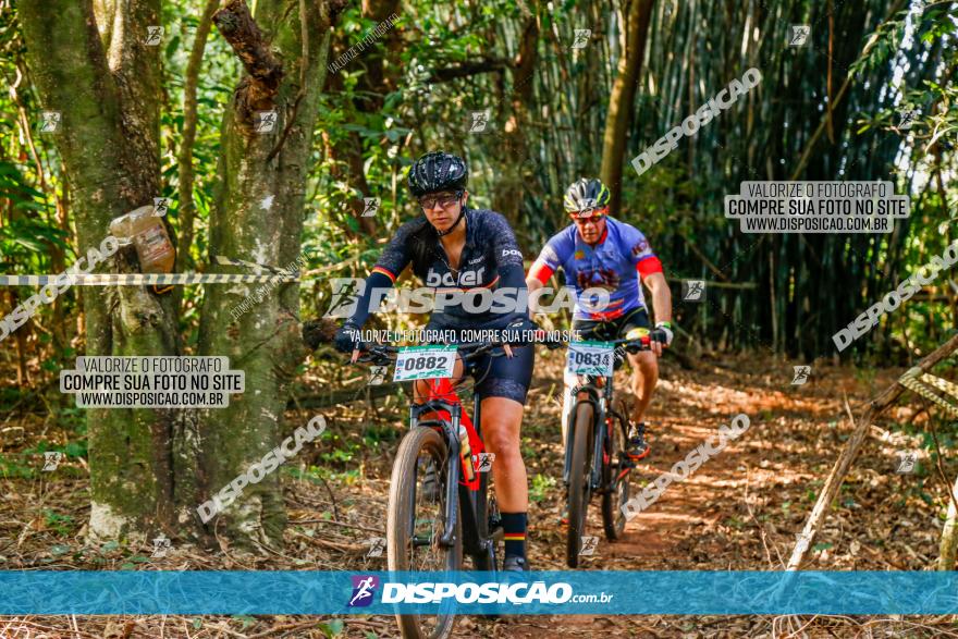 Circuito AEJ de Mountain Bike 2022