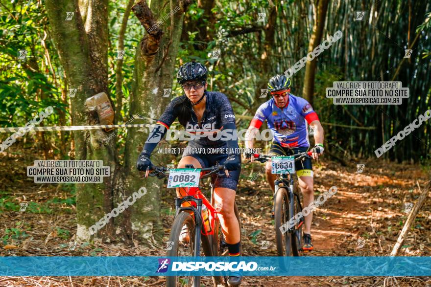 Circuito AEJ de Mountain Bike 2022