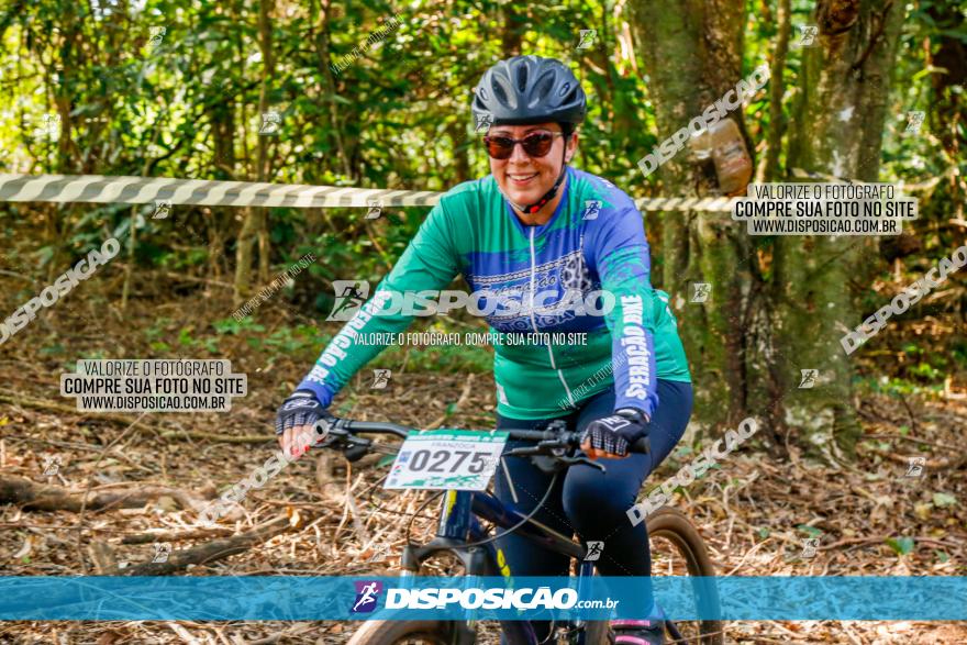 Circuito AEJ de Mountain Bike 2022