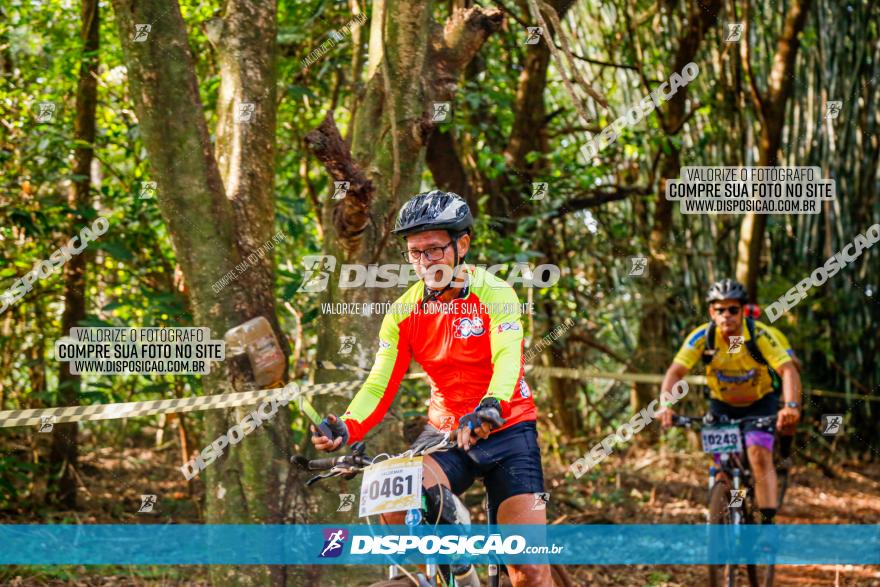 Circuito AEJ de Mountain Bike 2022