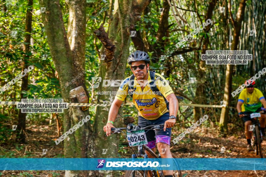 Circuito AEJ de Mountain Bike 2022