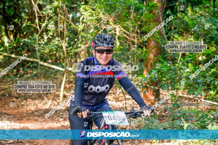 Circuito AEJ de Mountain Bike 2022