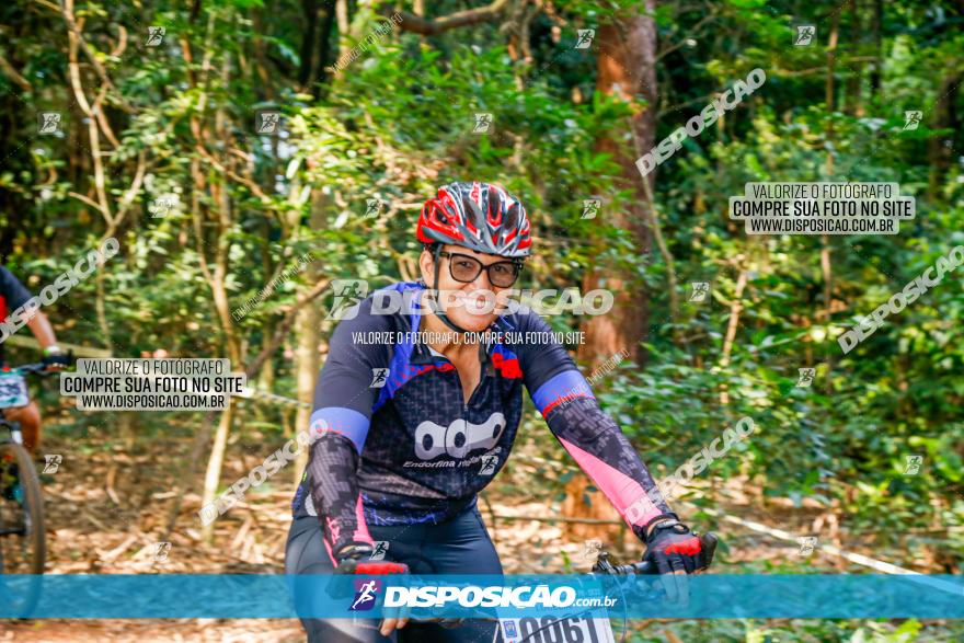 Circuito AEJ de Mountain Bike 2022