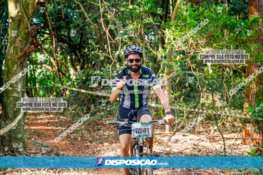 Circuito AEJ de Mountain Bike 2022