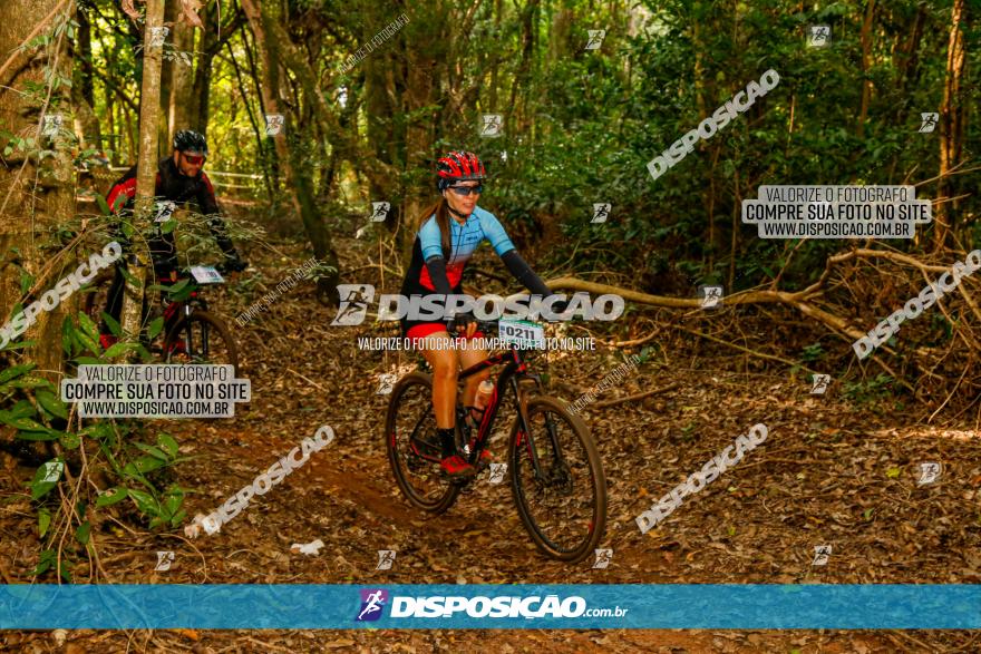 Circuito AEJ de Mountain Bike 2022