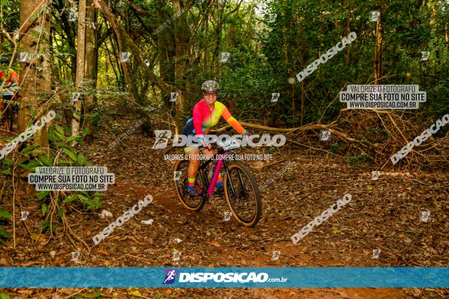 Circuito AEJ de Mountain Bike 2022